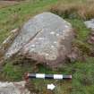 Digital photograph of panel to west, from Scotland's Rock Art Project, Achnabreck 5, Kilmartin, Argyll and Bute