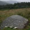 Digital photograph of rock art panel context, Scotland's Rock Art Project, Achnabreck 5, Kilmartin, Argyll and Bute