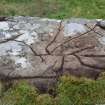 Digital photograph of panel in context without scale, Scotland's Rock Art Project, Carnassarie Farm 3, Kilmartin, Argyll and Bute