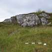 Digital photograph of panel to north, Scotland's Rock Art Project, Carnassarie Farm 3, Kilmartin, Argyll and Bute