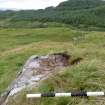 Digital photograph of panel to west, Scotland's Rock Art Project, Carnassarie Farm 3, Kilmartin, Argyll and Bute