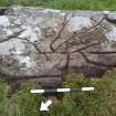 Digital photograph of perpendicular to carved surface(s), Scotland's Rock Art Project, Carnassarie Farm 3, Kilmartin, Argyll and Bute