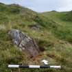 Digital photograph of rock art panel context, Scotland's Rock Art Project, Carnassarie Farm 7, Kilmartin, Argyll and Bute