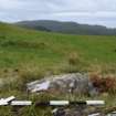 Digital photograph of rock art panel context, Scotland's Rock Art Project, Carnassarie Farm 7, Kilmartin, Argyll and Bute