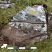 Digital photograph of rock art panel context, Scotland's Rock Art Project, Carnassarie Farm 7, Kilmartin, Argyll and Bute