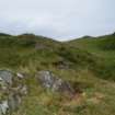 Digital photograph of rock art panel context, Scotland's Rock Art Project, Carnassarie Farm 7, Kilmartin, Argyll and Bute