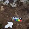 Digital photograph of close ups of motifs, from Scotland's Rock Art Project, Carnassarie Farm 7, Kilmartin, Argyll and Bute