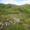 Digital photograph of panel to north, from Scotland's Rock Art Project, Carnassarie Farm 7, Kilmartin, Argyll and Bute