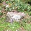 Digital photograph of panel to north-east, from Scotland's Rock Art Project, Glennan 2, Kilmartin, Argyll and Bute