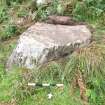 Digital photograph of panel to north, from Scotland's Rock Art Project, Glennan 2, Kilmartin, Argyll and Bute