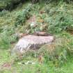 Digital photograph of panel in context with scale, from Scotland's Rock Art Project, Glennan 2, Kilmartin, Argyll and Bute