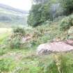 Digital photograph of panel in context without scale, from Scotland's Rock Art Project, Glennan 2, Kilmartin, Argyll and Bute