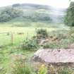 Digital photograph of panel in context without scale, from Scotland's Rock Art Project, Glennan 2, Kilmartin, Argyll and Bute