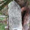 Digital photograph of perpendicular to carved surface(s), Scotland's Rock Art Project, Kilbride Burial Slab 1, Kilmartin, Argyll and Bute