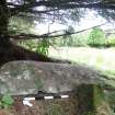 Digital photograph of panel to north-east, Scotland's Rock Art Project, Kilbride Burial Slab 1, Kilmartin, Argyll and Bute