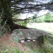 Digital photograph of panel in context with scale, Scotland's Rock Art Project, Kilbride Burial Slab 1, Kilmartin, Argyll and Bute