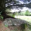 Digital photograph of panel in context without scale, Scotland's Rock Art Project, Kilbride Burial Slab 1, Kilmartin, Argyll and Bute