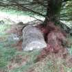 Digital photograph of rock art panel context, Scotland's Rock Art Project, Kilbride Burial Slab 1, Kilmartin, Argyll and Bute