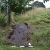 Digital photograph of panel to south, from Scotland's Rock Art Project, Kilmichael Glassary 3, Kilmartin, Argyll and Bute