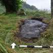 Digital photograph of panel to north, from Scotland's Rock Art Project, Kilmichael Glassary 3, Kilmartin, Argyll and Bute