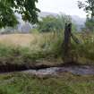 Digital photograph of panel in context without scale, from Scotland's Rock Art Project, Kilmichael Glassary 3, Kilmartin, Argyll and Bute