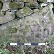 Digital photograph of panel before cleaning, from Scotland's Rock Art Project, Glasvaar 4, Kilmartin, Argyll and Bute
