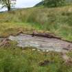 Digital photograph of rock art panel context, Scotland's Rock Art Project, Glasvaar 9, Kilmartin, Argyll and Bute