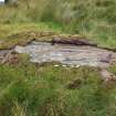 Digital photograph of rock art panel context, Scotland's Rock Art Project, Glasvaar 9, Kilmartin, Argyll and Bute