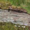 Digital photograph of perpendicular to carved surface(s), from Scotland's Rock Art Project, Glasvaar 9, Kilmartin, Argyll and Bute
