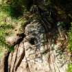 Digital photograph of perpendicular to carved surface(s), from Scotland's Rock Art Project, Kilbride 4, Kilmartin, Argyll and Bute