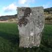 Digital photograph of panel to north-east, from Scotland's Rock Art Project, Nether Largie North West Standing Stone, Kilmartin, Argyll and Bute