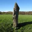 Digital photograph of panel to north-east, Scotland's Rock Art Project, Nether Largie North West Standing Stone, Kilmartin, Argyll and Bute