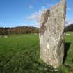 Digital photograph of panel to north, from Scotland's Rock Art Project, Nether Largie North West Standing Stone, Kilmartin, Argyll and Bute