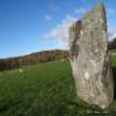 Digital photograph of rock art panel context, Scotland's Rock Art Project, Nether Largie North West Standing Stone, Kilmartin, Argyll and Bute