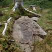 Digital photograph of rock art panel context, Scotland's Rock Art Project, Ormaig 3, Kilmartin, Argyll and Bute