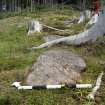 Digital photograph of panel to north-east, from Scotland's Rock Art Project, Ormaig 3, Kilmartin, Argyll and Bute