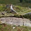 Digital photograph of rock art panel context, Scotland's Rock Art Project, Ormaig 3, Kilmartin, Argyll and Bute