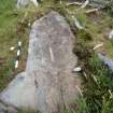 Digital photograph of panel to north, from Scotland's Rock Art Project, Ormaig 3, Kilmartin, Argyll and Bute