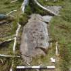 Digital photograph of panel to south-west, from Scotland's Rock Art Project, Ormaig 3, Kilmartin, Argyll and Bute