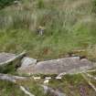 Digital photograph of panel to north-west, from Scotland's Rock Art Project, Ormaig 3, Kilmartin, Argyll and Bute