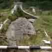 Digital photograph of rock art panel context, Scotland's Rock Art Project, Ormaig 3, Kilmartin, Argyll and Bute