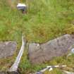 Digital photograph of rock art panel context, Scotland's Rock Art Project, Ormaig 3, Kilmartin, Argyll and Bute