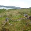 Digital photograph of rock art panel context, Scotland's Rock Art Project, Ormaig 3, Kilmartin, Argyll and Bute