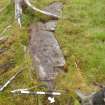 Digital photograph of rock art panel context, Scotland's Rock Art Project, Ormaig 3, Kilmartin, Argyll and Bute