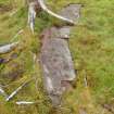 Digital photograph of rock art panel context, Scotland's Rock Art Project, Ormaig 3, Kilmartin, Argyll and Bute