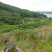 Digital photograph of rock art panel context, Scotland's Rock Art Project, Ormaig 3, Kilmartin, Argyll and Bute