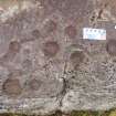 Digital photograph of close ups of motifs, from Scotland's Rock Art Project, Ormaig 3, Kilmartin, Argyll and Bute