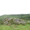 Digital photograph of rock art panel context, Scotland's Rock Art Project, Torbhlaran 2, Kilmartin, Argyll and Bute