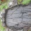 Digital photograph of rock art panel context, Scotland's Rock Art Project, Upper Largie 1, Kilmartin, Argyll and Bute