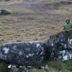 Digital photograph of rock art panel context, Scotland's Rock Art Project, Clachadow, Oban, Argyll and Bute